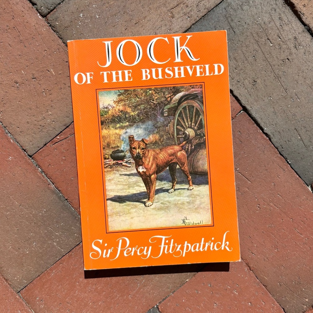 Jock of the Bushveld Hunting Dog Africa Hunter Classic Animal Story Lion Prey